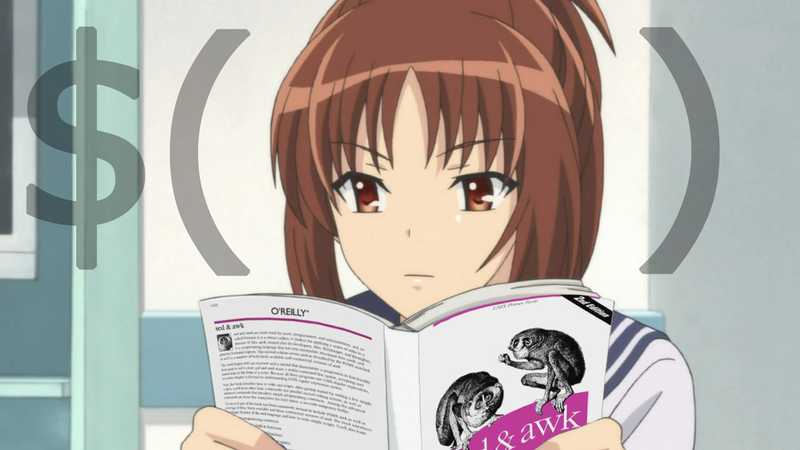 Minami_Kawashima_reading_Sed_and_Awk