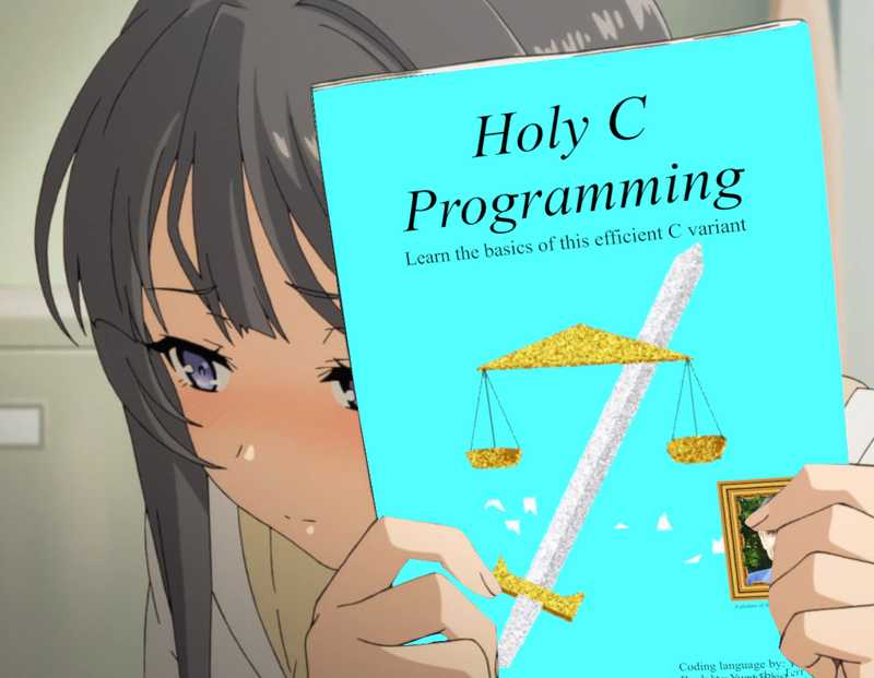 Sakurajima_Mai_Holding_The_HolyC_Programming_Language