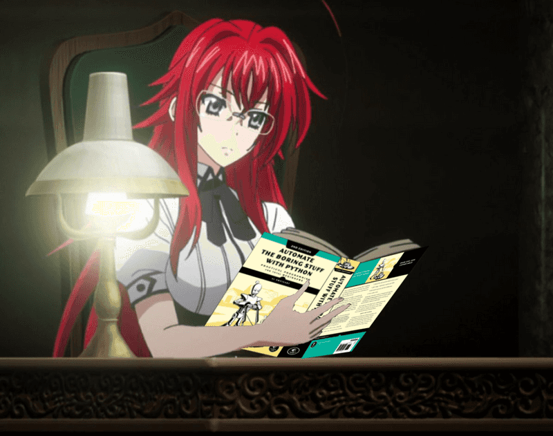 Rias_Gremory_reading_automate_the_boring_stuff_with_python