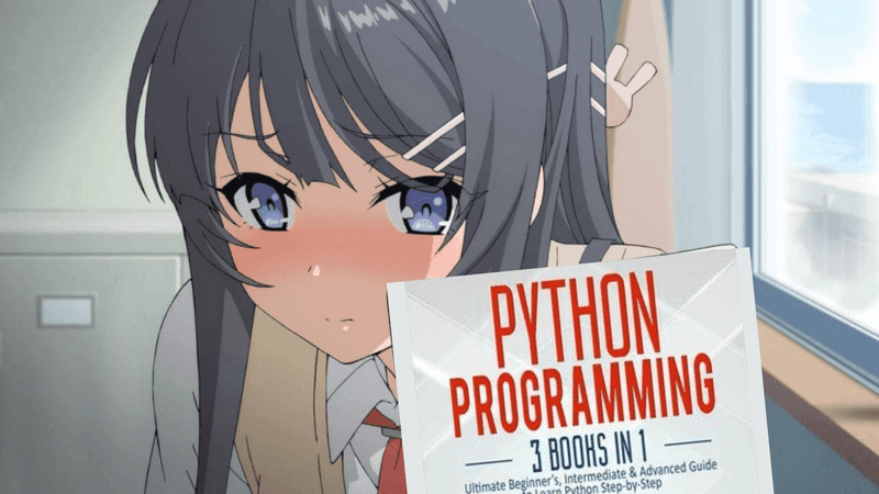 mai_sakurajima_holding_python_programming_3in1_book