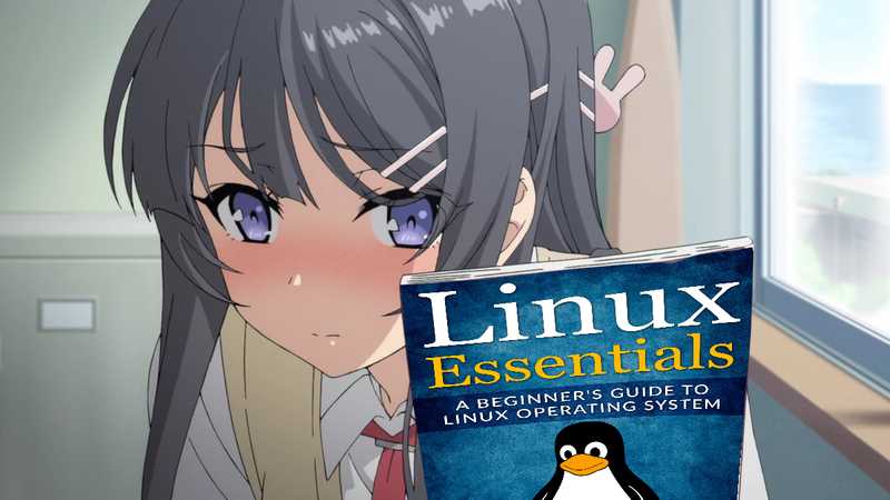 Sakurajima_Mai_Linux_Essentials